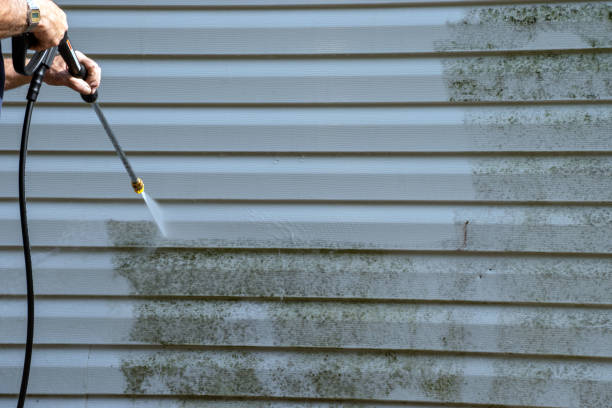 Best Furniture Removal  in Royal Pines, NC